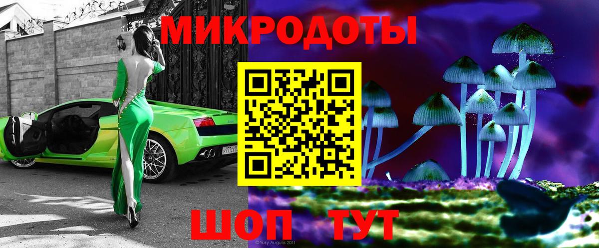 Галлюциногенные грибы Cubensis Юрга